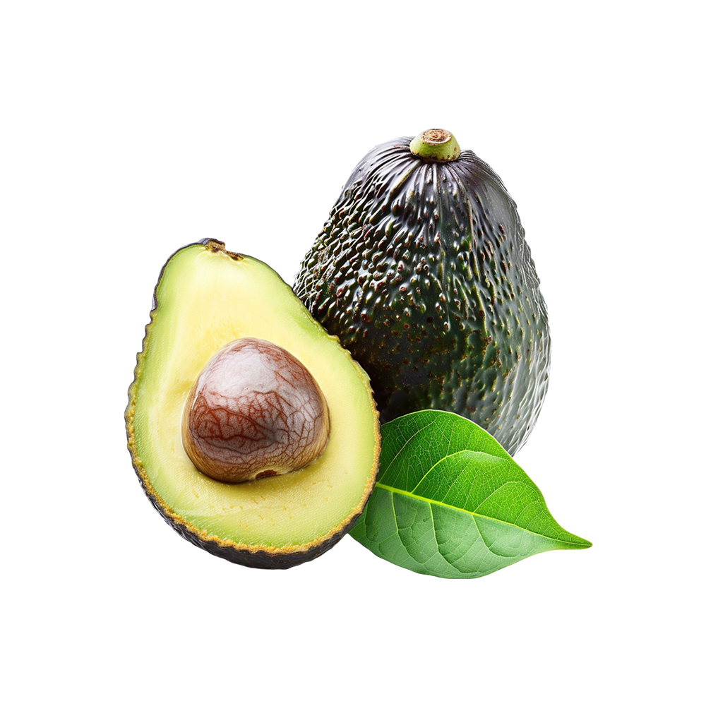 Avocado Hass Medium
