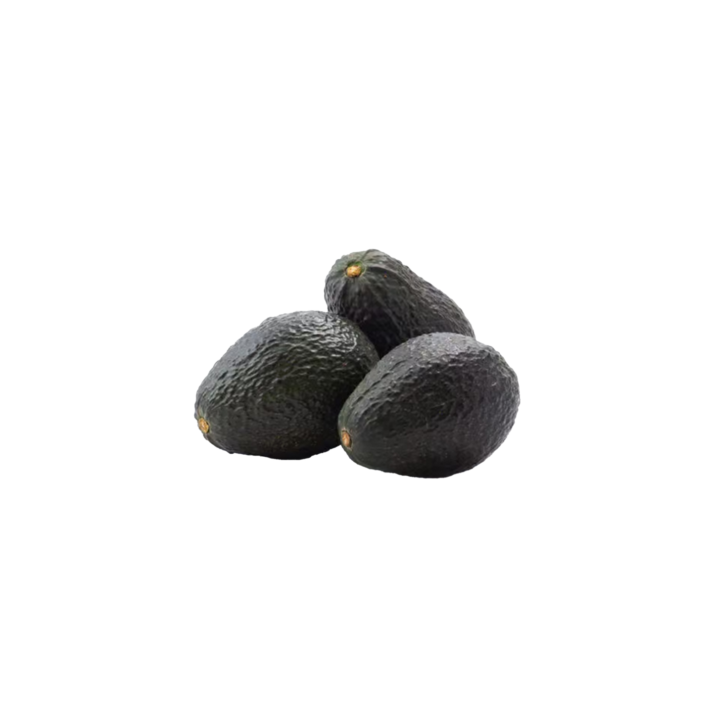 Avocado Lamb Hass - 3 For $3.75 Large