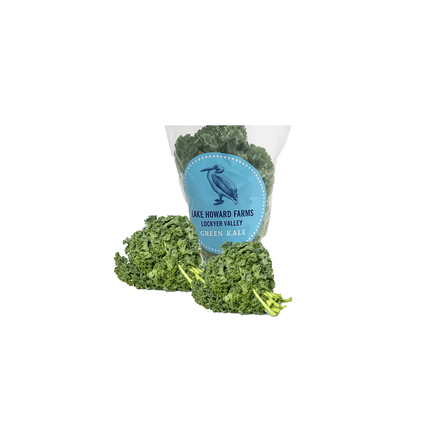 Fresh Kale Bunch Locally Grown
