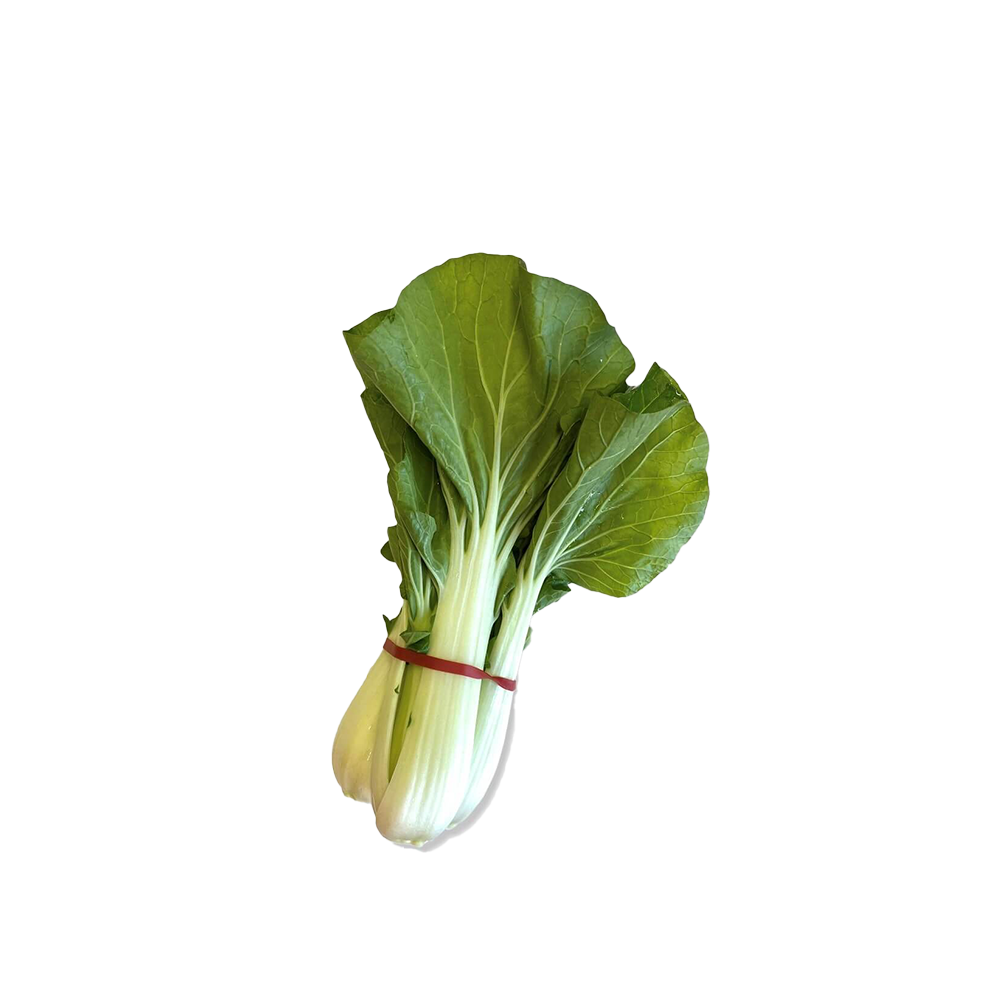 Bok Choy Locally Grown