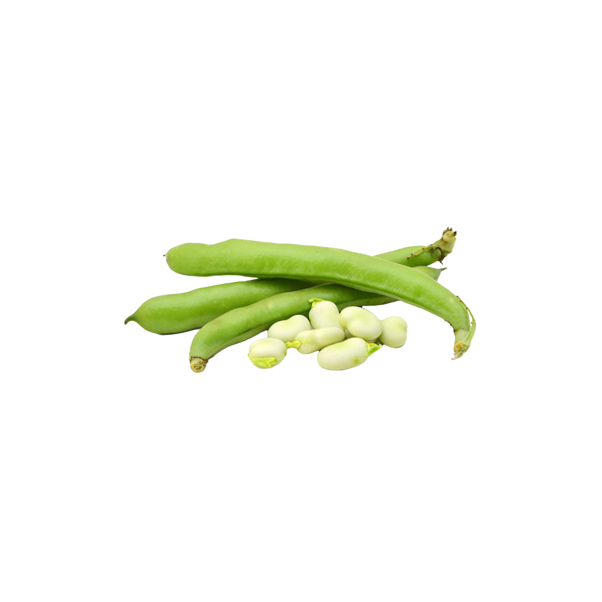 Broadbean 1kg bags (Wegihed product)