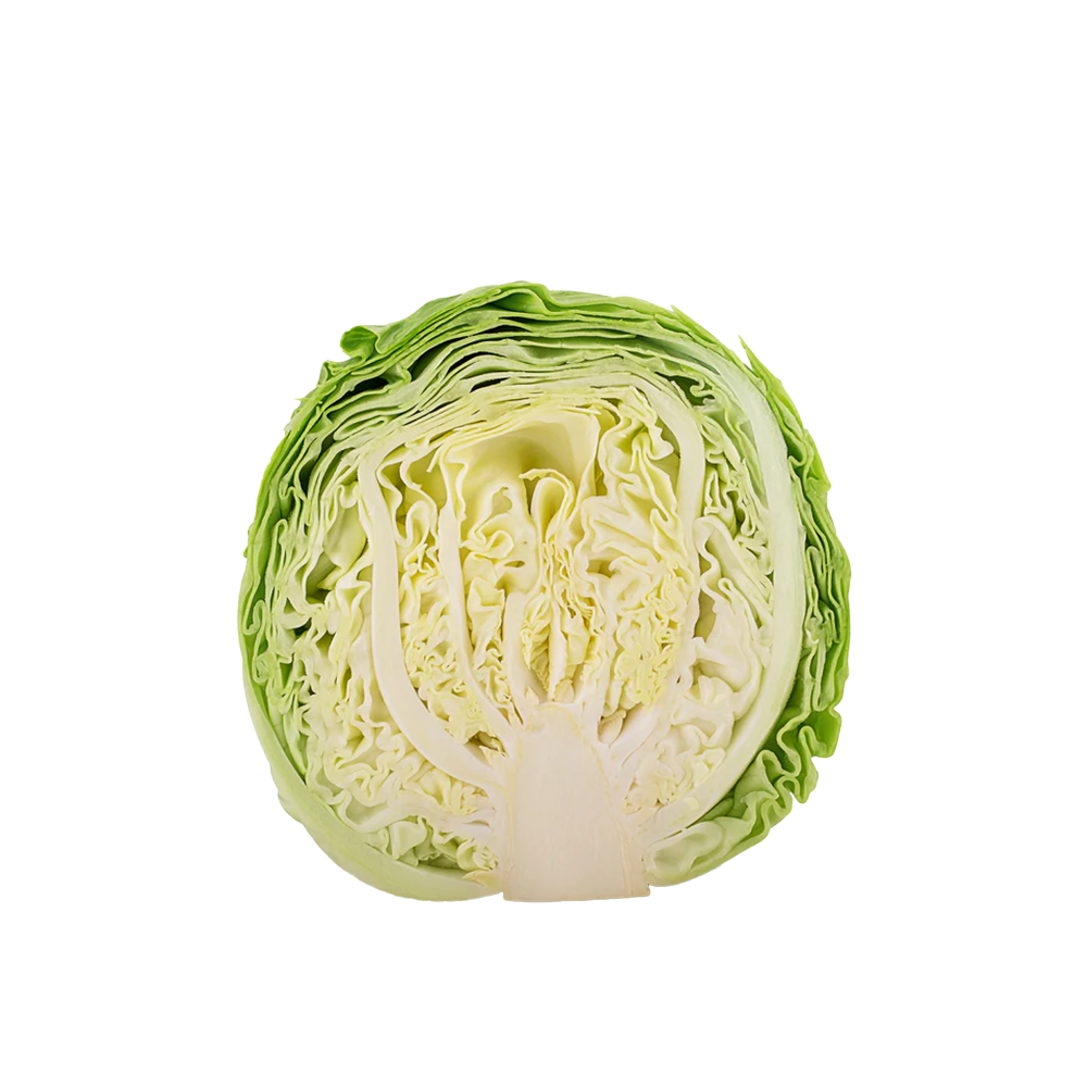 Cabbage Green Drum 1/2 Locally Grown