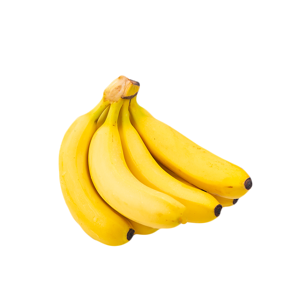 Cavendish Bananas - XL Size