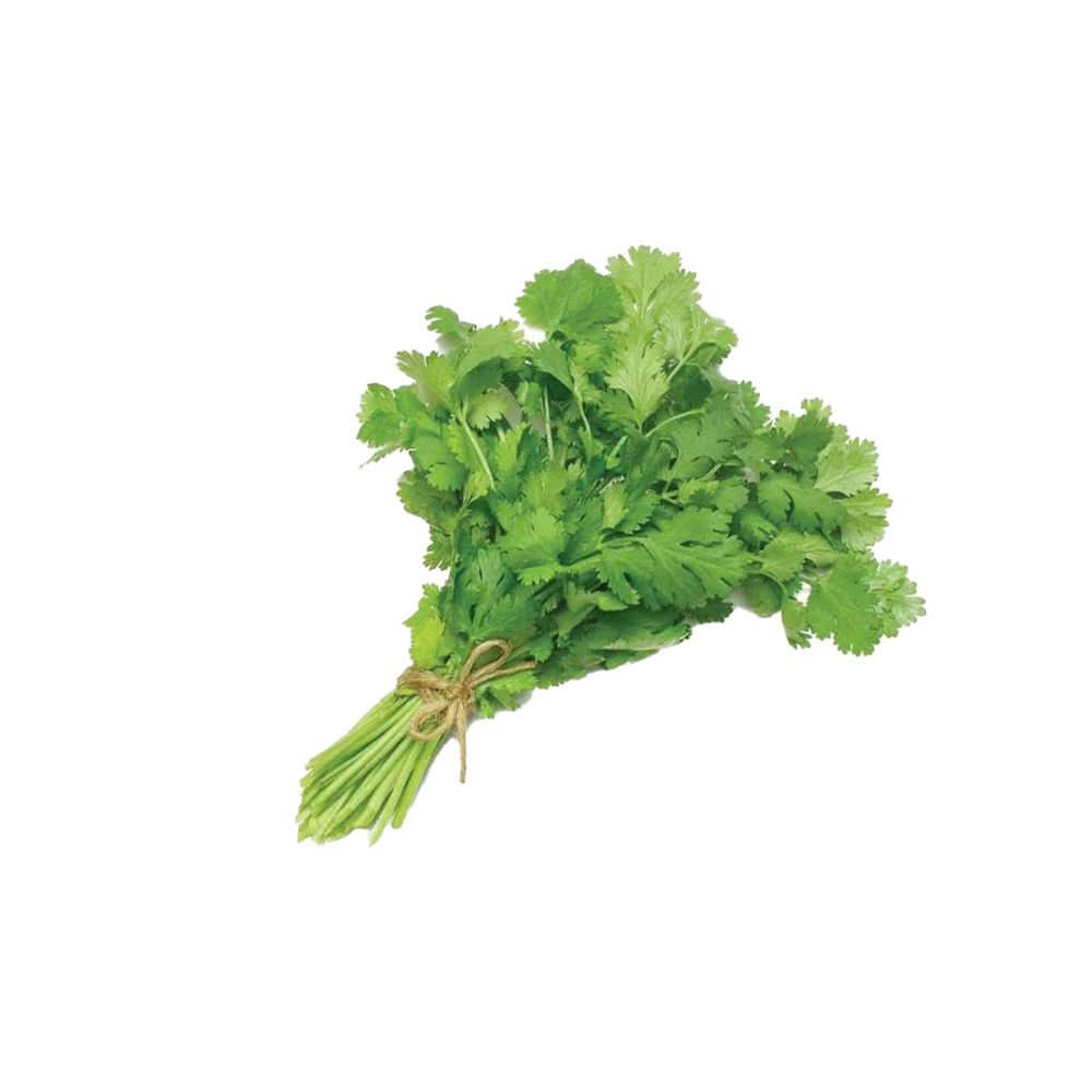 Coriander Bunch (Locally Grown)