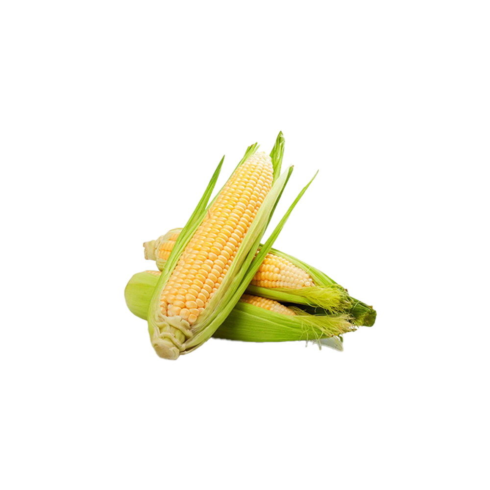 Corn Loose Each