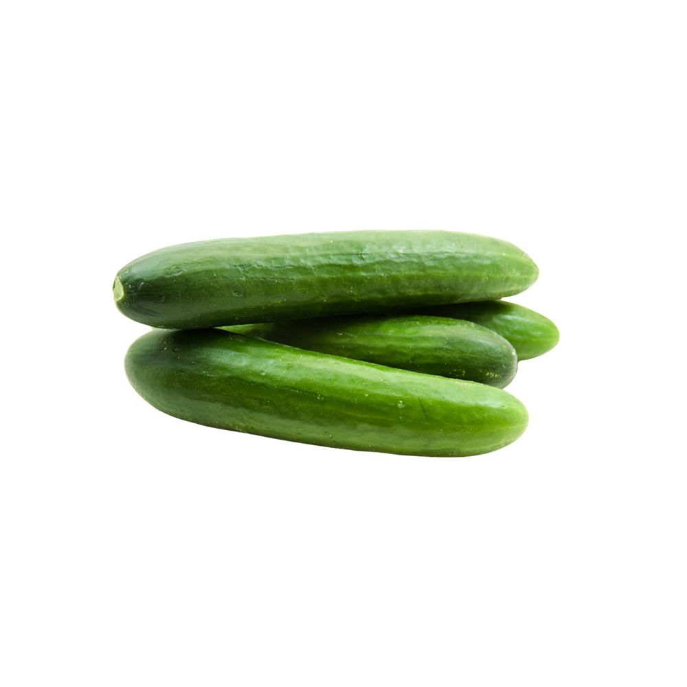 Lebanese Cucumber - 1kg pre bagged packs