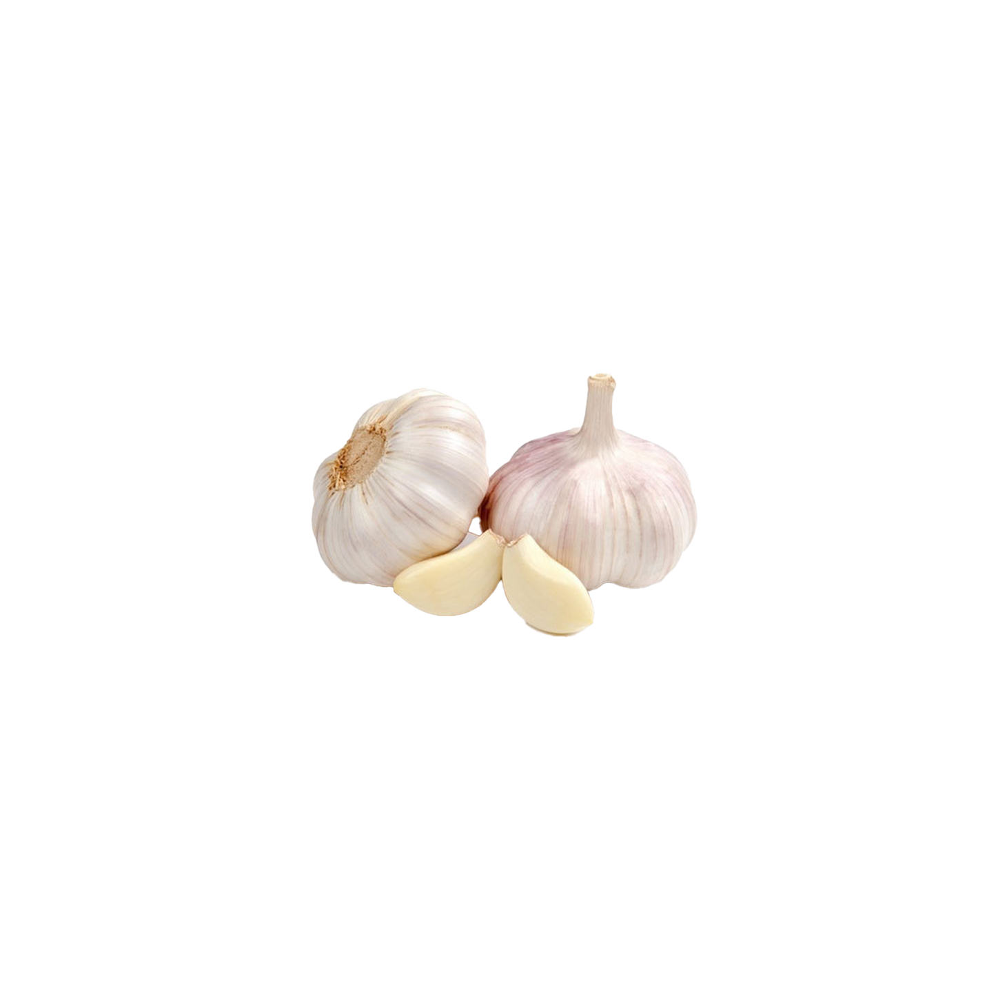 Egyptian Garlic bag (3 bulbs)