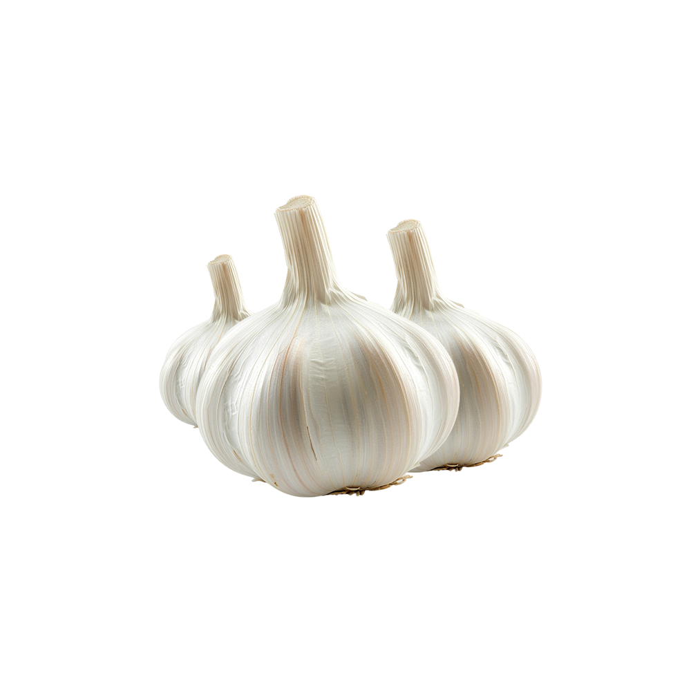 Garlic Bulb Singles