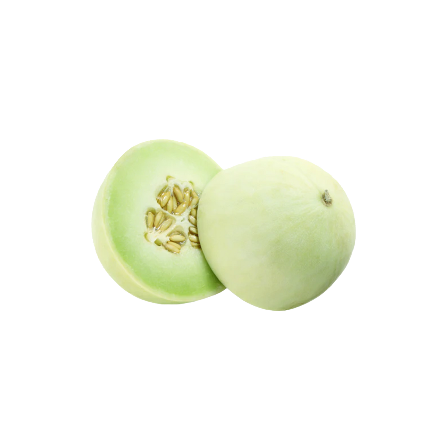 Honeydew Melon