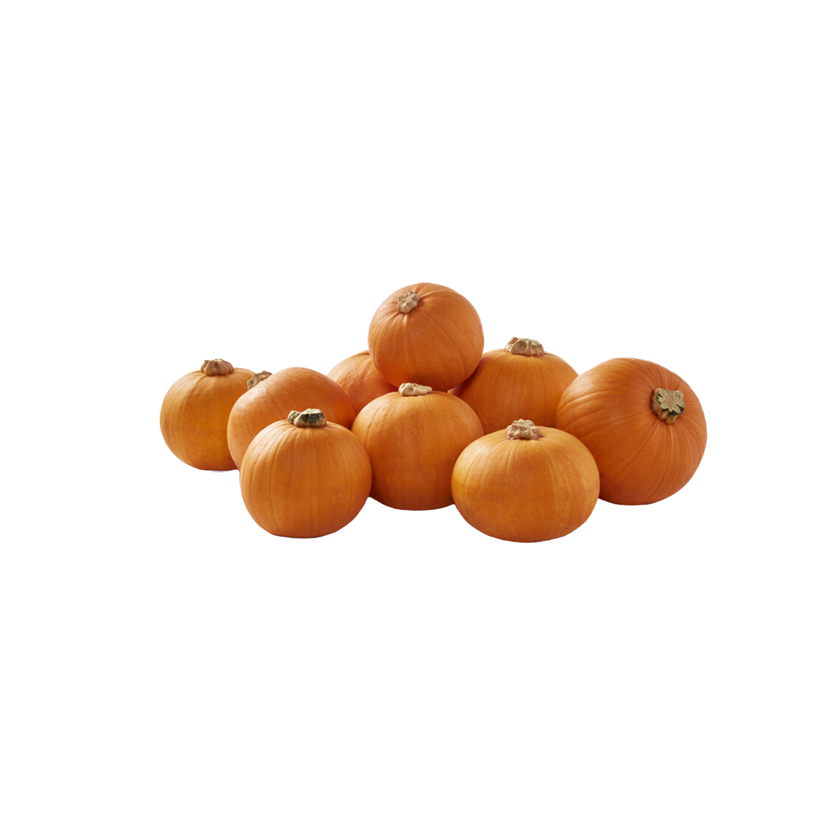 Mini Halloween Jack Pumpkins