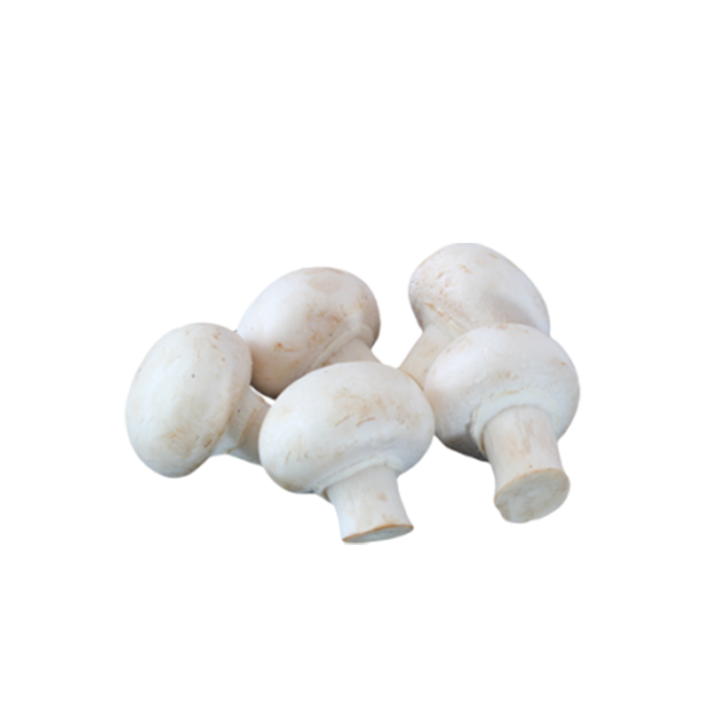 Button Mushrooms Medium Size
