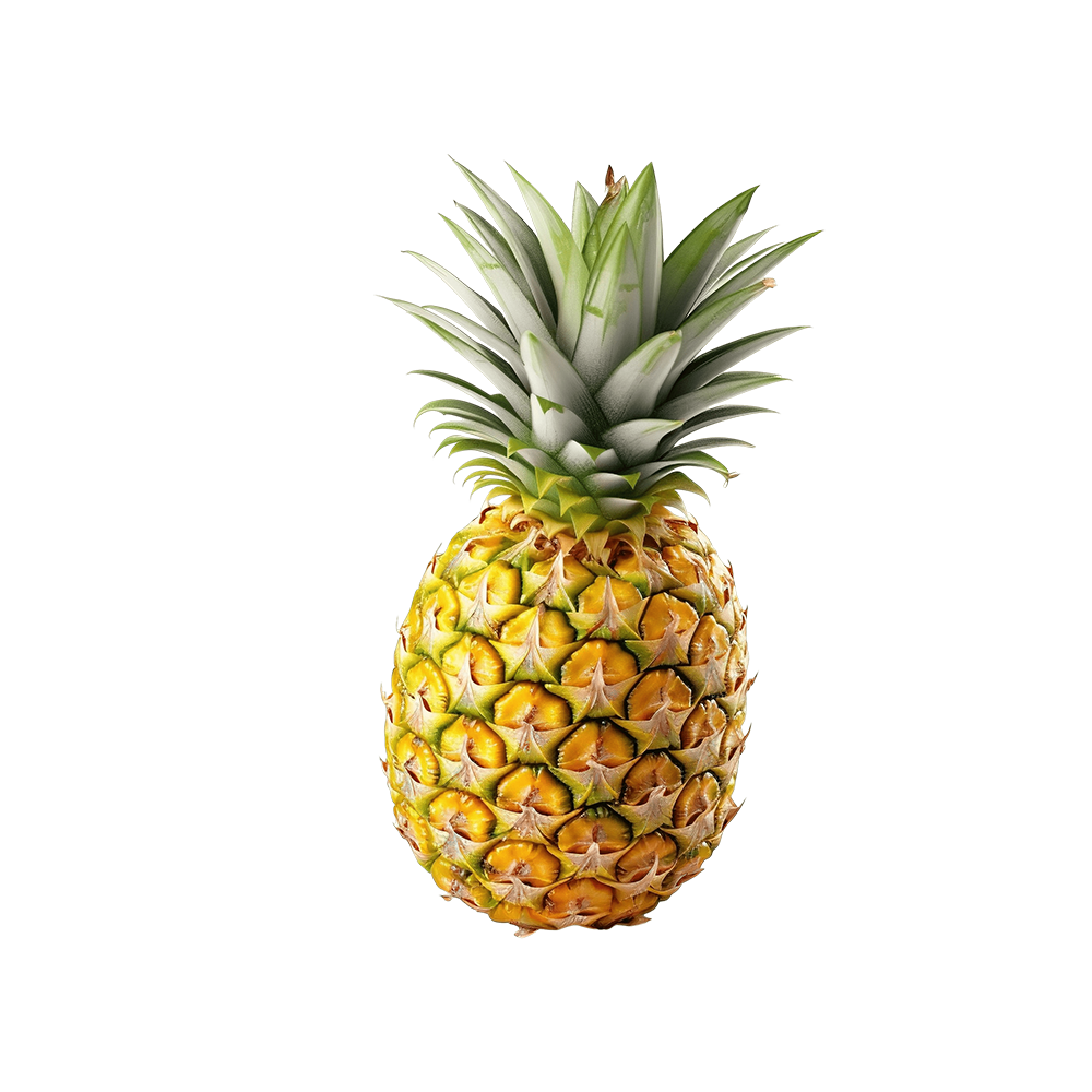 Pineapples Large