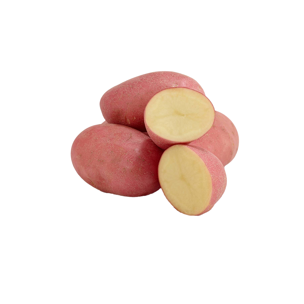 Potato Red Washed - 5kg Bags