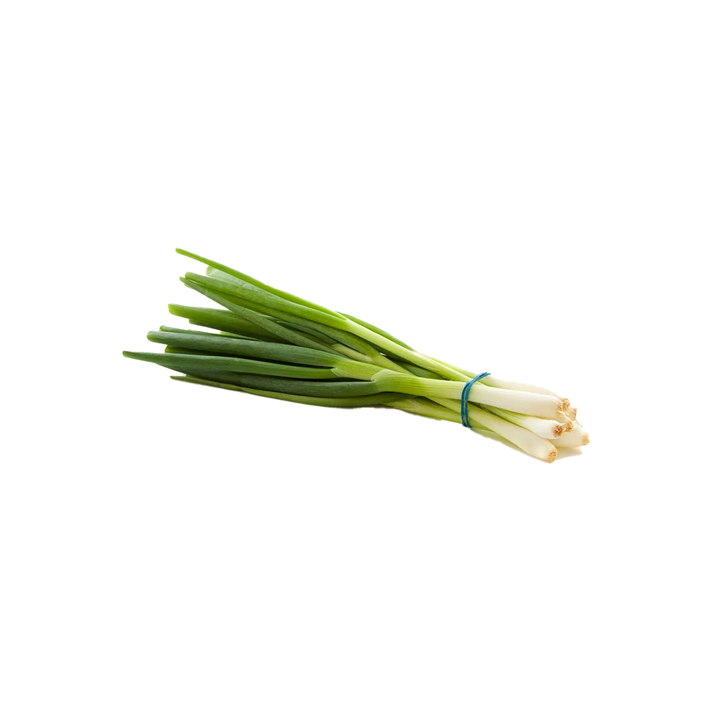 Spring Onion Bunch