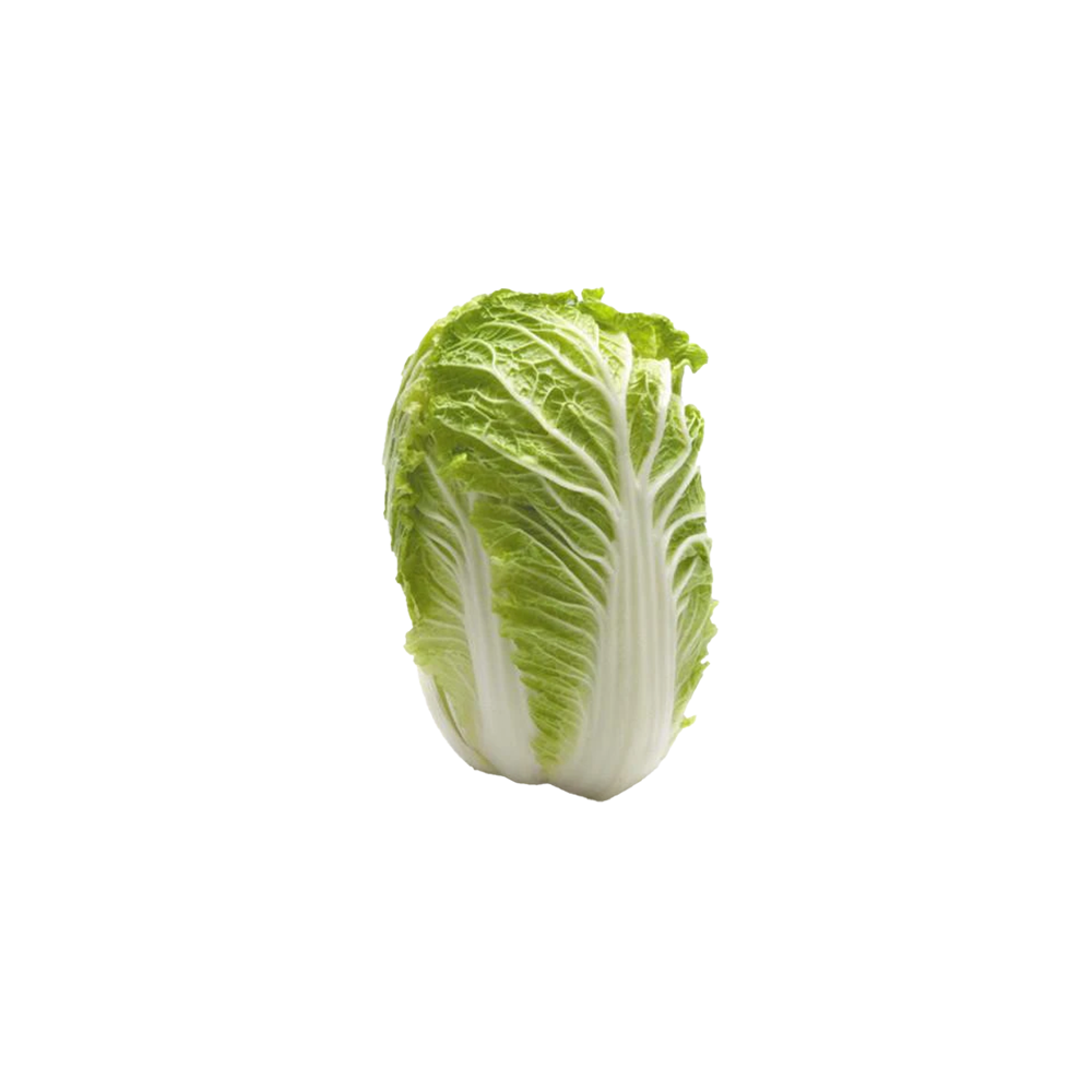 Wombok Whole Locally Grown