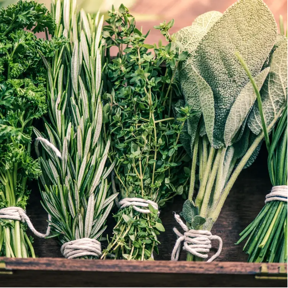 Herbs and Spices