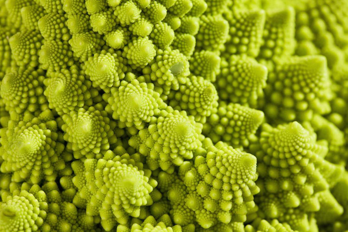 Cauliflower Romanesco - Locally Grown