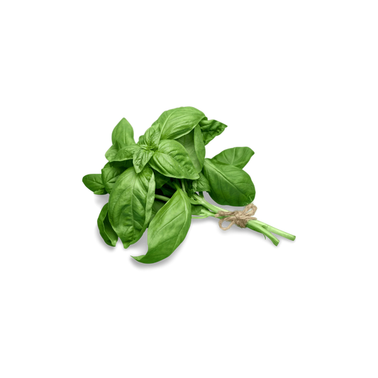 Basil Bunch - Organic