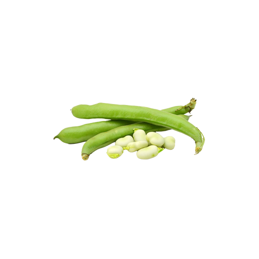 Broadbean 1kg bags (Wegihed product)