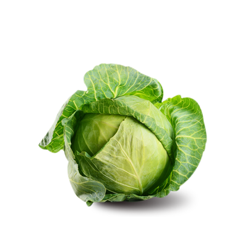 Cabbage Green Drum Whole