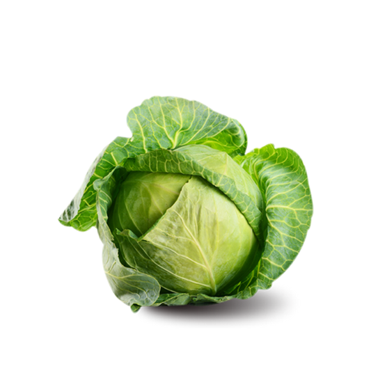 Cabbage Green Drum Whole