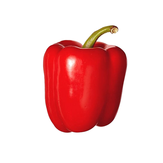 Capsicum Red - 500g lots