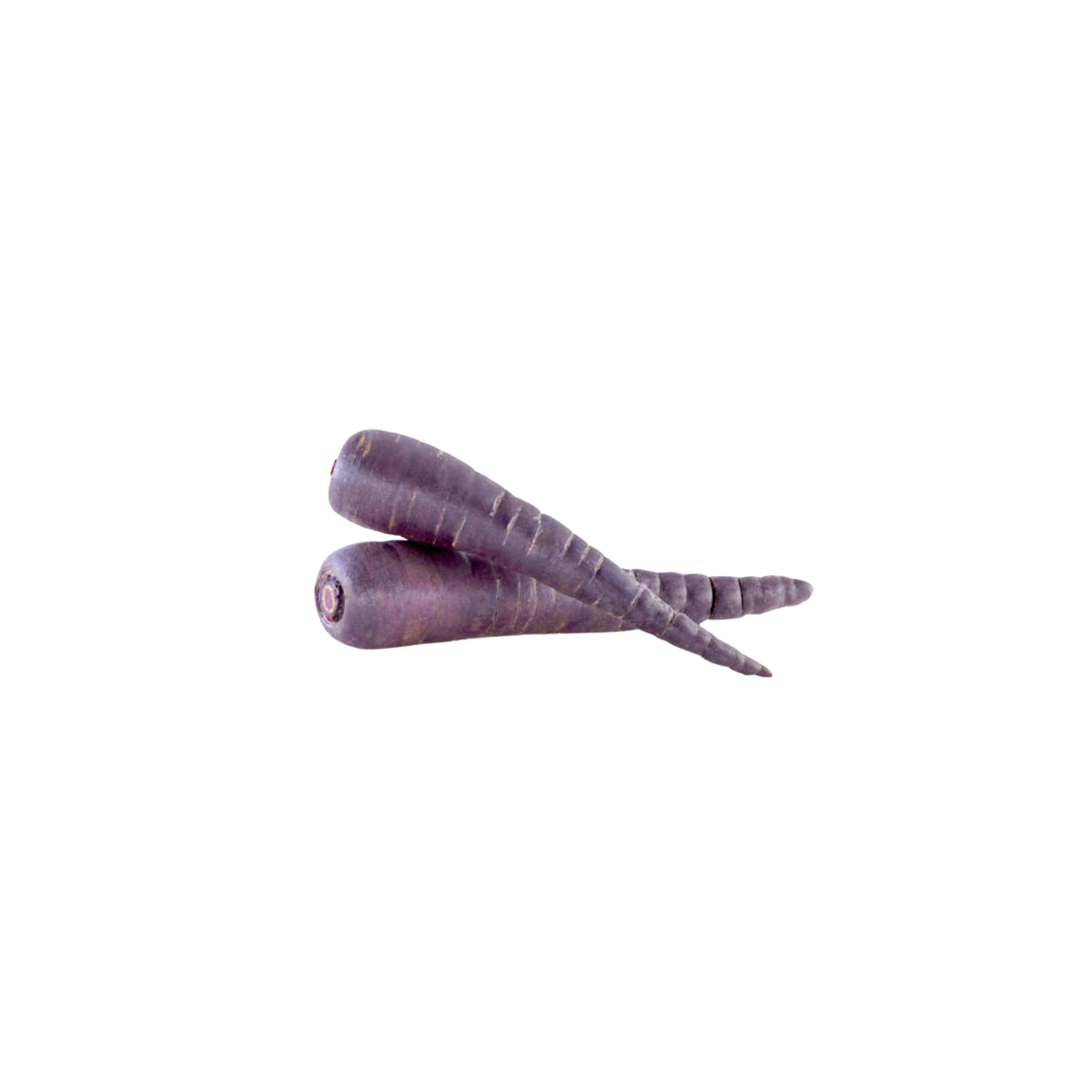 Carrots Purple - 500g Bags