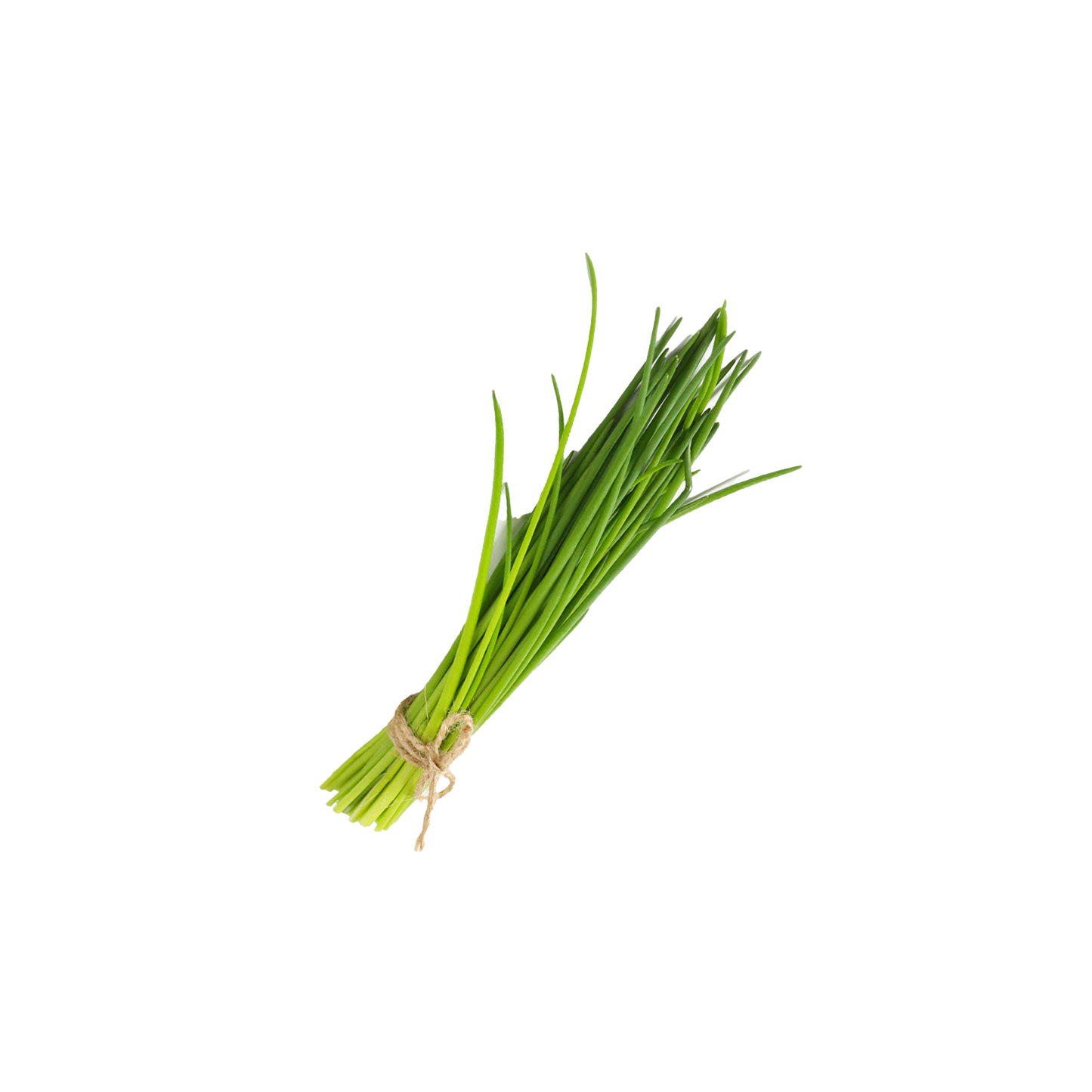Fresh Chives - With Roots Locally Grown (Keep alive in water)