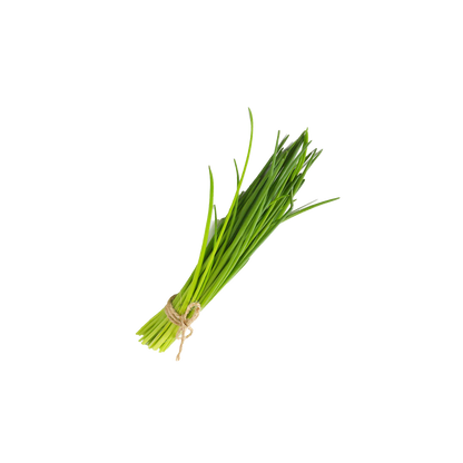 Fresh Chives - With Roots Locally Grown (Keep alive in water)