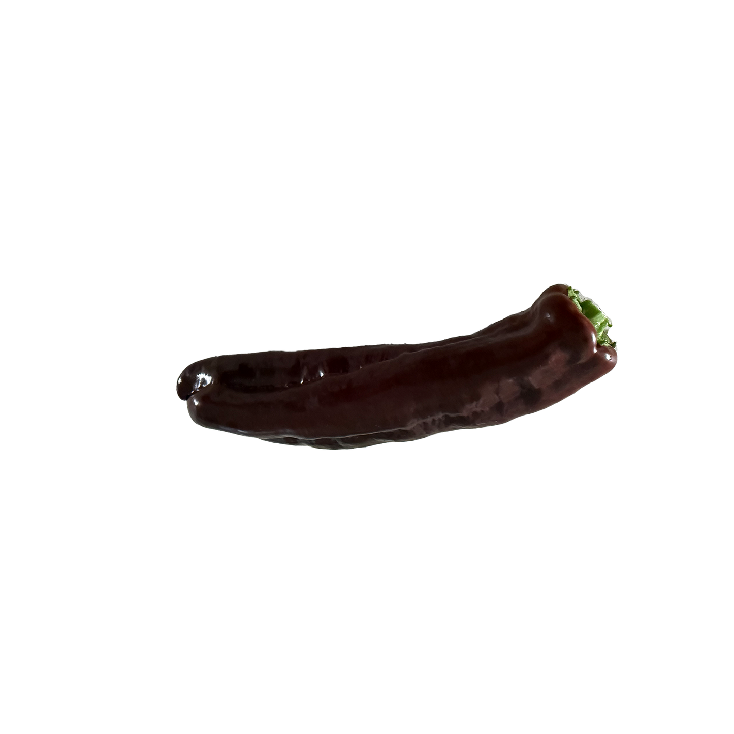 Sweet Long capsicum - Chocolate Premium 300g lots
