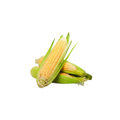 Whole Corn Sweet - Lots of 2