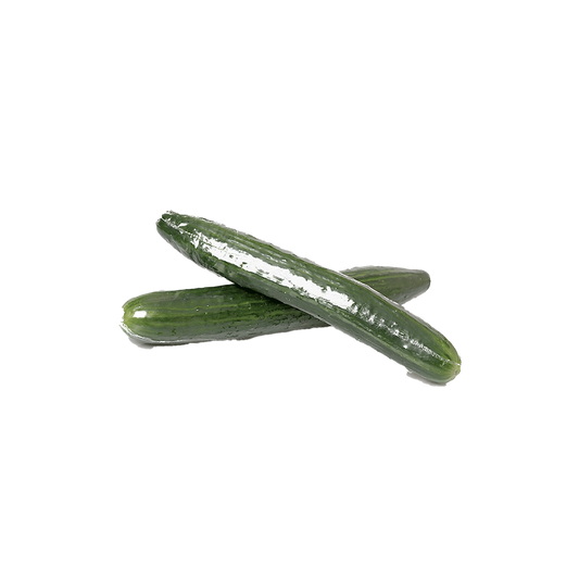 Continental Cucumber XL Size