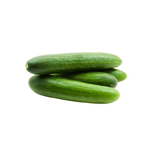 Lebanese Cucumber - 1kg pre bagged packs