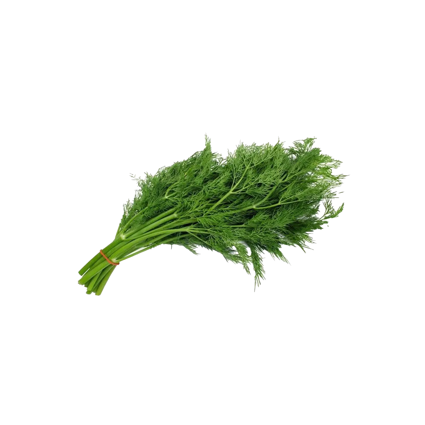 Dill Large Bunch
