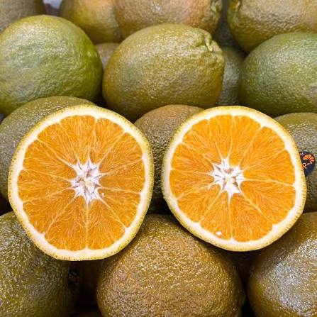 Dolci Navel Orange Premium (Weighed Product)