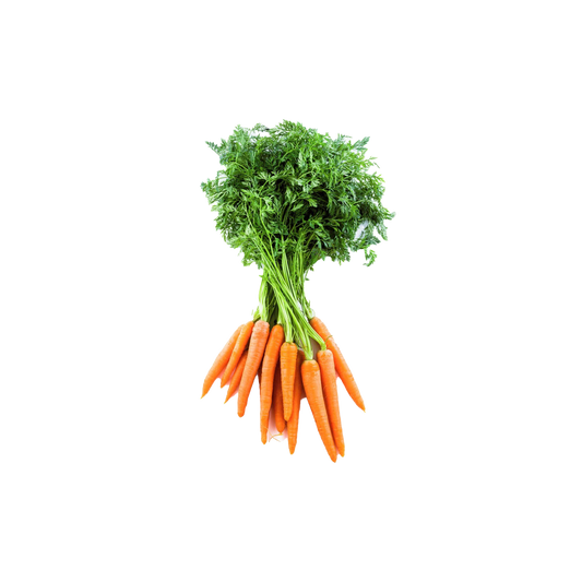 Dutch Carrots Bunch