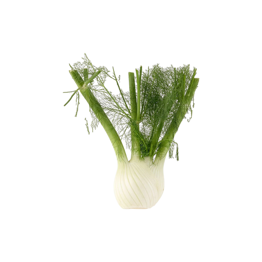 Fennel Whole