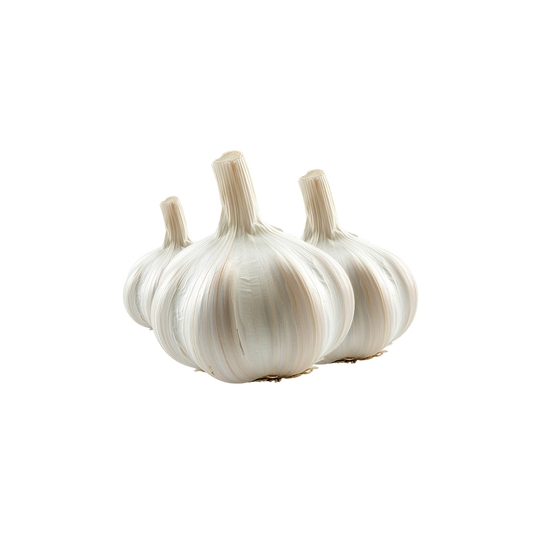 Garlic Bulb Singles