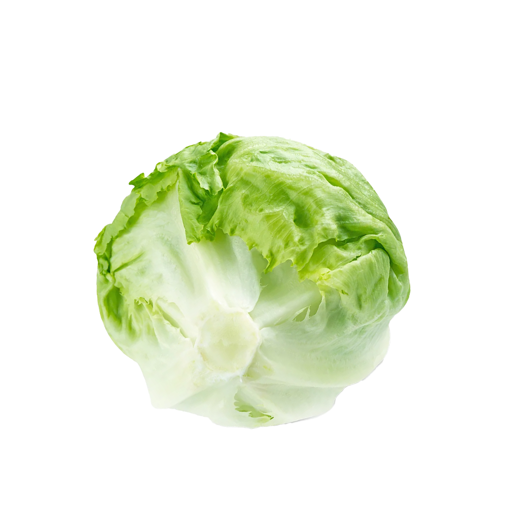 Iceberg Lettuce