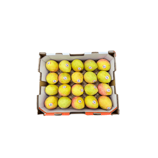 Kensington Pride Mango Tray - 20 Per Tray