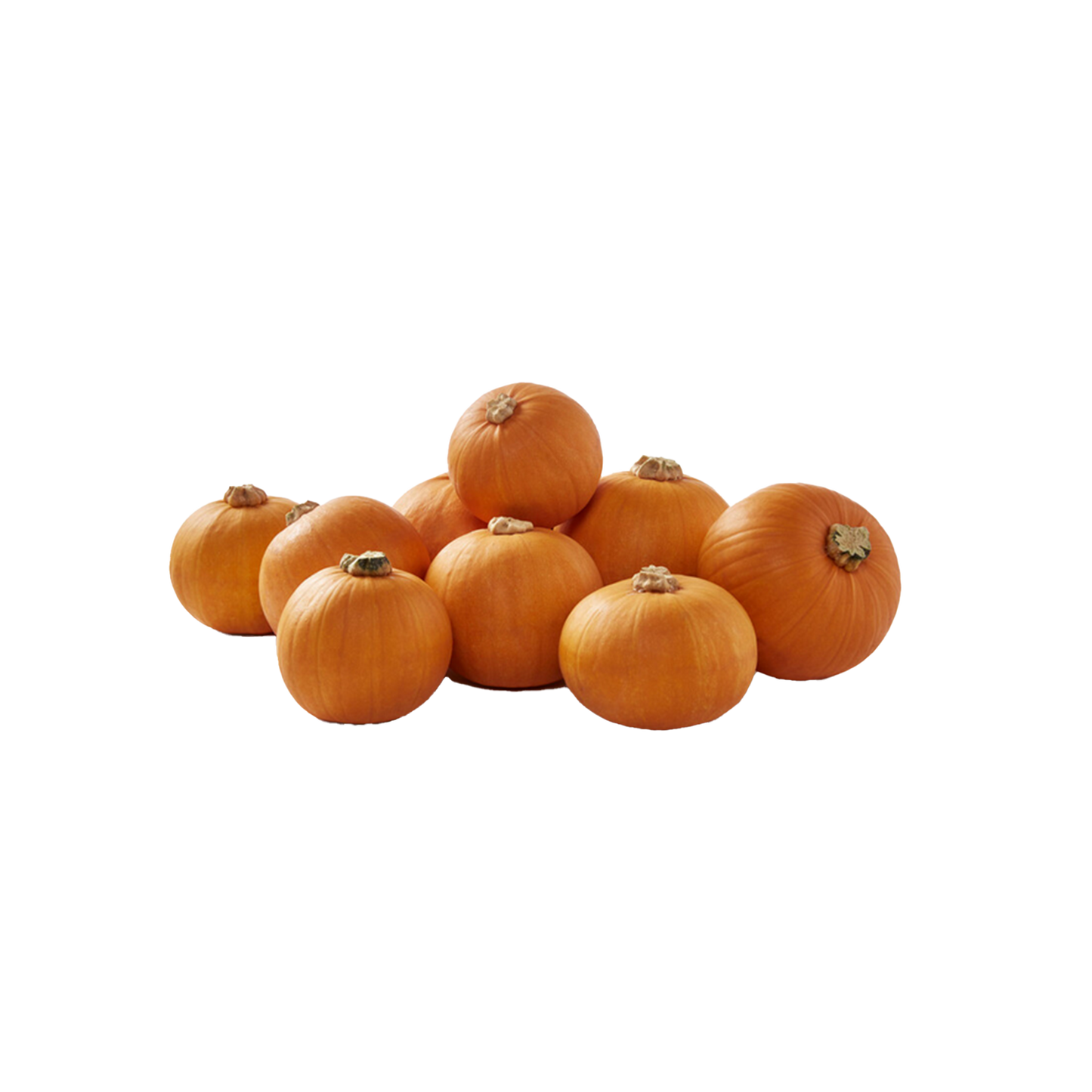 Halloween Mini Pumpkin - 2 For $3