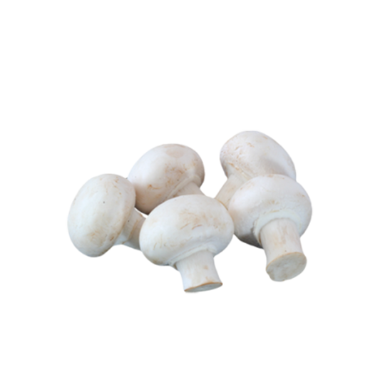 Button Mushrooms Medium Size