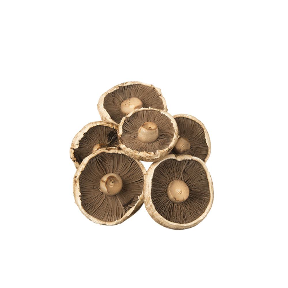 Mushroom Large Flat (250g Lots)