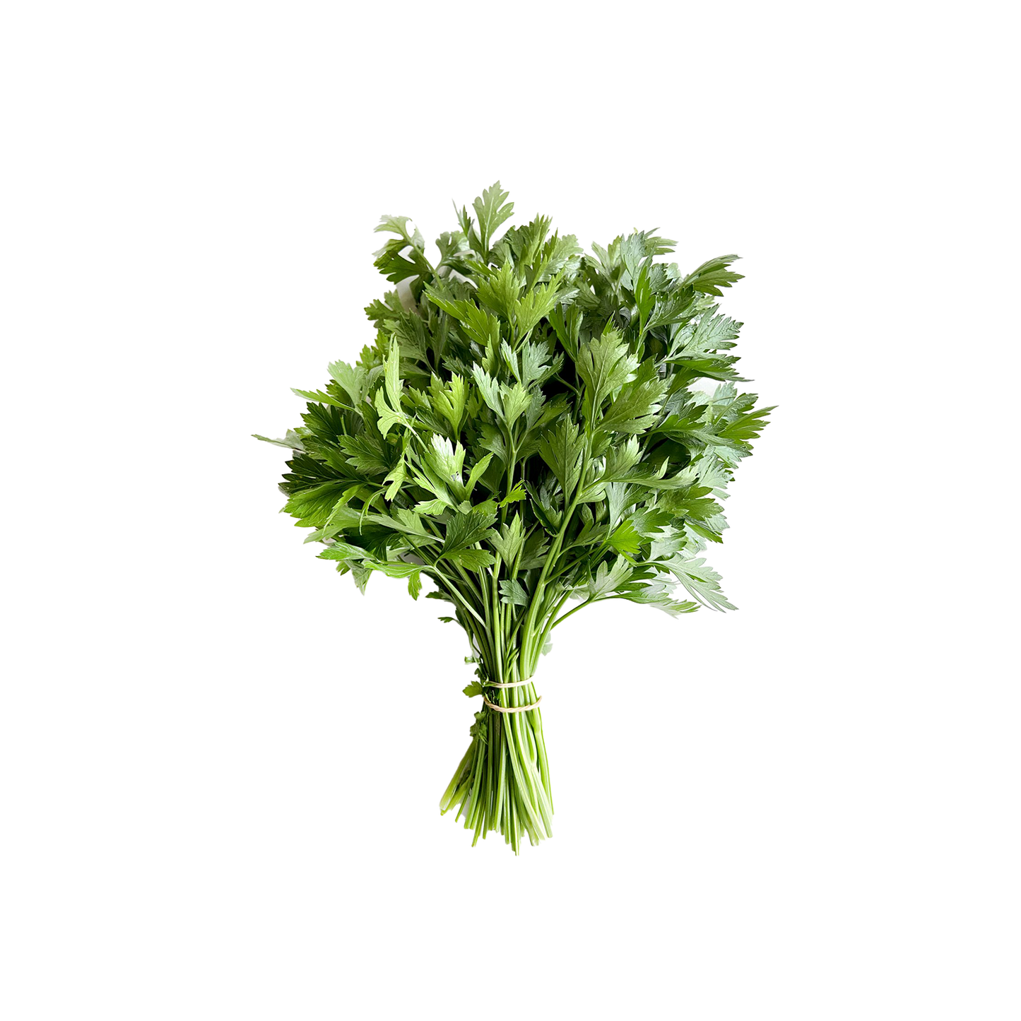 Parsley Flat Leaf Bunch