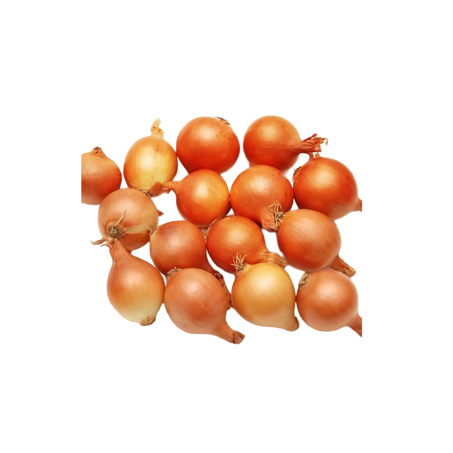 Pickling Onions -2kg bags