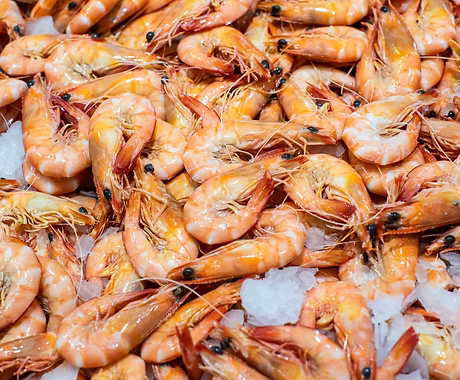 Prawns 1kg Pre-Order Cooked Spencer Gulf King Prawns (Frozen)