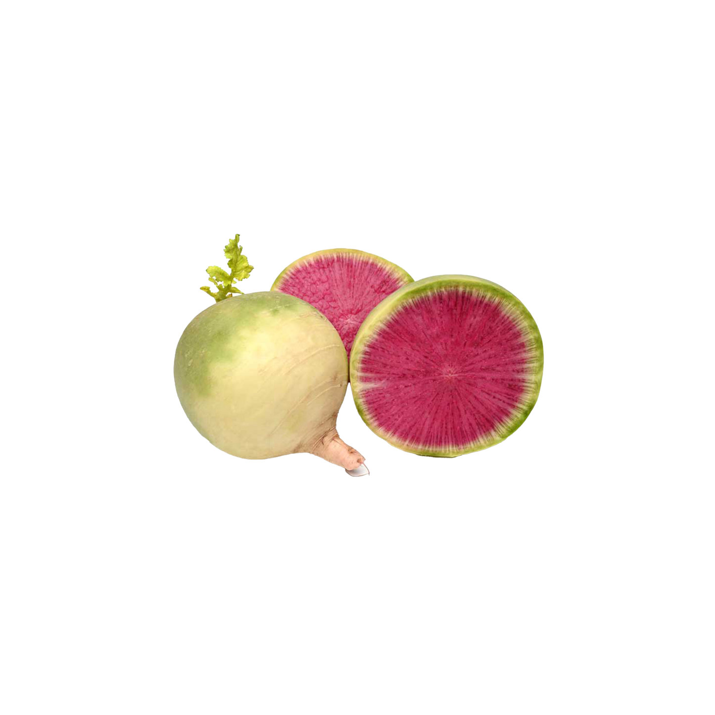 Watermelon Radish Medium - 1kg bags