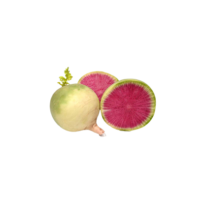 Watermelon Radish Medium - 1kg bags