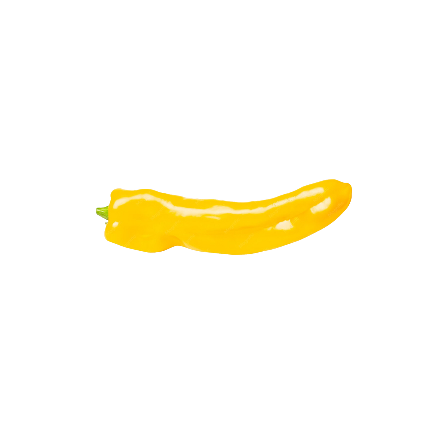 Sweet Long capsicum - Yellow Premium 300g lots